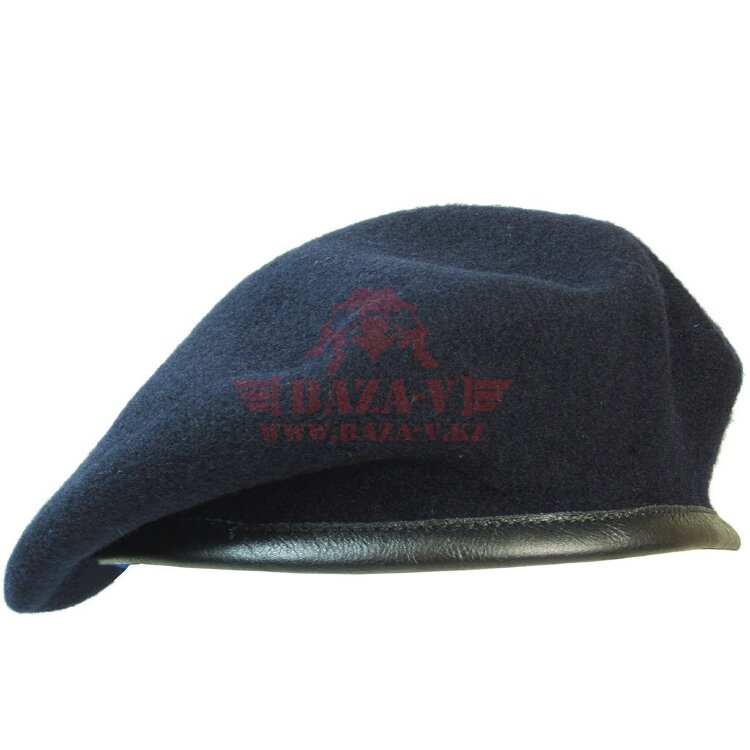 Берет шерстяной Westrooper WTP20-1348 (Blue)