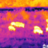 Тепловизионный монокуляр FLIR Prometheus 640 2-16x50 (30 Hz) (TAT163MN4PROM21) (Black)